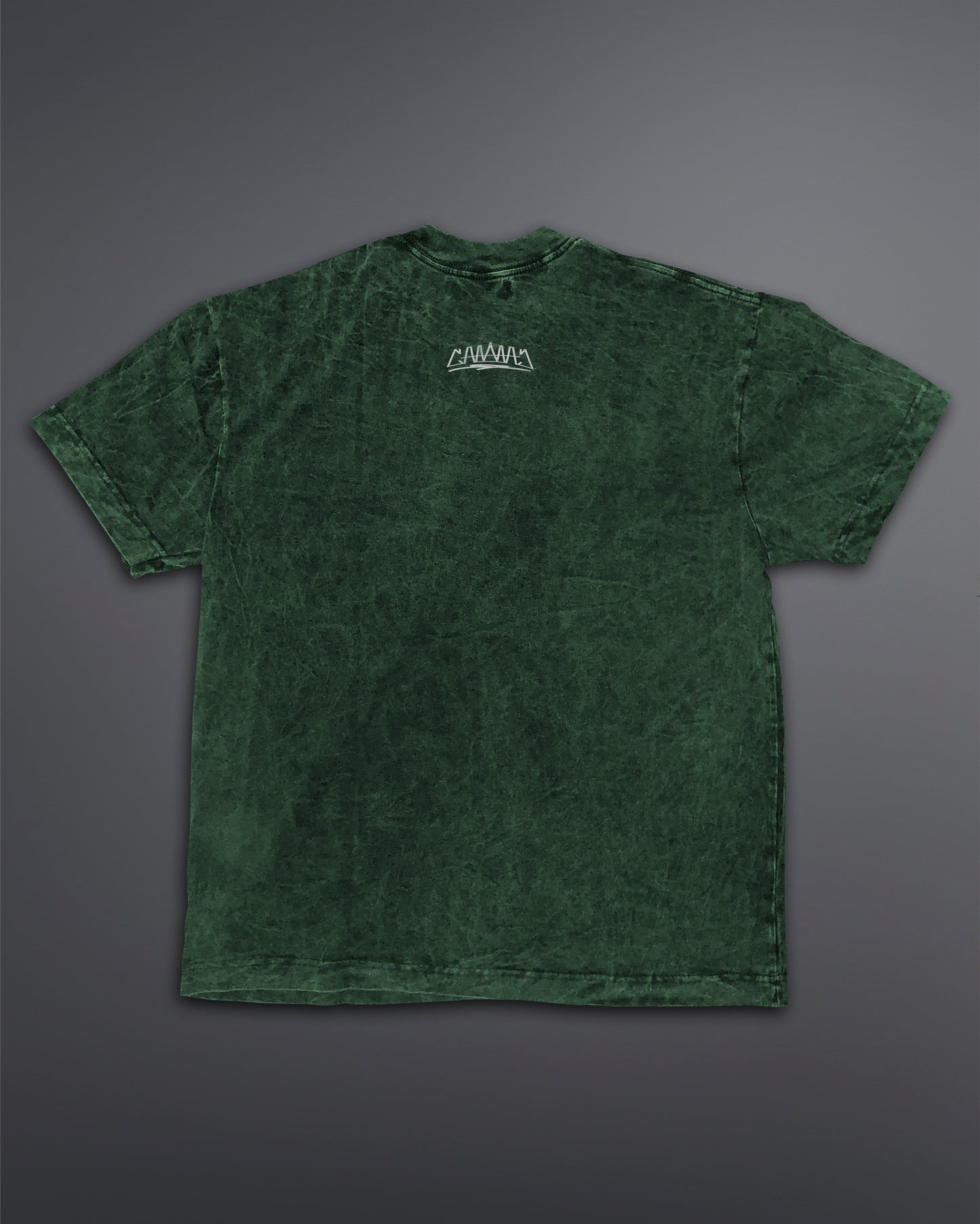 Acid Wash Oversized Tee [TOXIC MOSS COLORWAY]